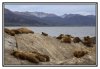20/IMG_3871 kim site.jpg
